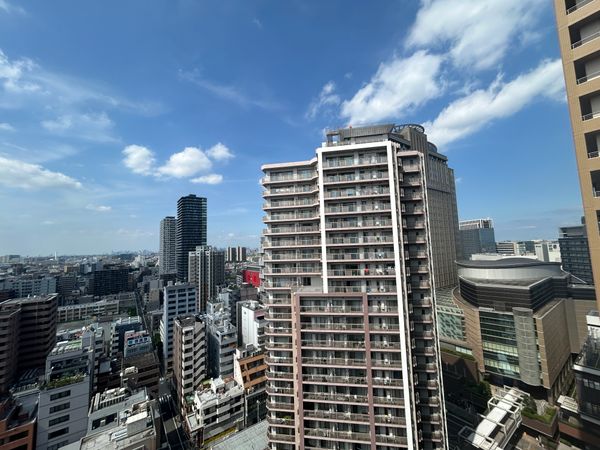 ヴィルクレール川崎タワー 眺望
